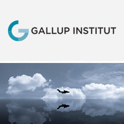 logo_gallup_wehrpflicht.jpg  